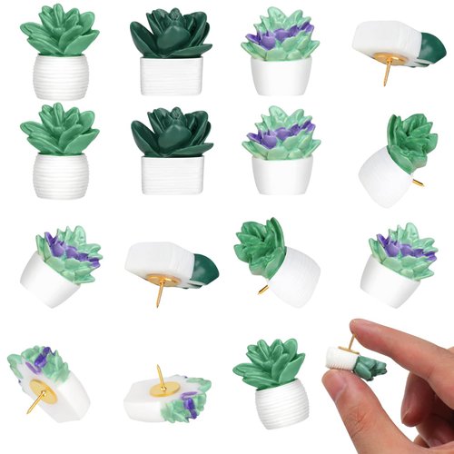 20 Pieces Cute Succulent Plants Decorative Push Pins Colorful Floret Thumbtacks for Photo Wall, Feature Wall, Whiteboard, Cork Board, Map, Bulletin Board, Office or Home (Three Assorted Styles)