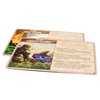 Greater Than Games | Spirit Island: Feather & Flame | Cooperative Strategy Board Game Expansion | 1 to 4 Players | 90+ Minutes | Ages 14+