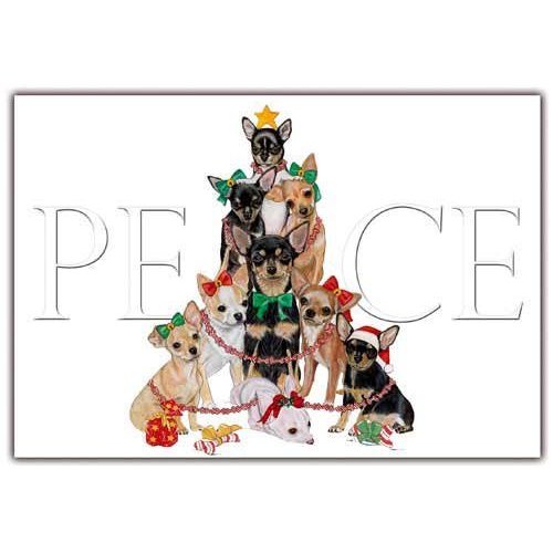 Chihuahua Christmas Cards : 10 Holiday Cards with Envelopes