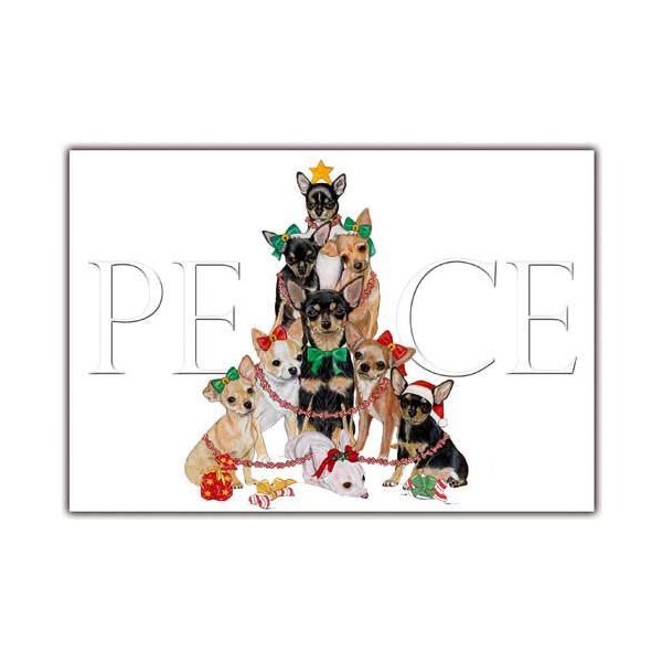 Chihuahua Christmas Cards : 10 Holiday Cards with Envelopes
