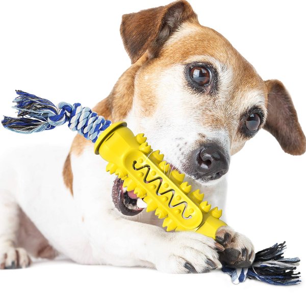 TANG-CN Dog Chew Toy with Twisted Rope for Aggressive Chewers, Dog Toothbrush Chew Toy Stick Non-Toxic Rubber Dog Toy for 15-30 LBS Small Medium Dogs