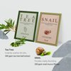 SHIONLE Daily Essential Face Mask Pack, 23ml X 12 Pack, 6 Types (Collagen, Honey, Vitamin, Aloe, Snail, Tea Tree) Korean Beauty Skin Care Set, Intense Hydration, Home Spa For All Skin Types