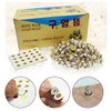 Moxibustion Mini Moxa Stick-on Homeopathic x (1100pcs / box)
