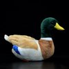 lilizzhoumax Mallard Duck Stuffed Animal,Realistic Duck Plush,Super Soft Plush,Toys for Kids,Figure Toy,Girl Toys,Gift for Kids,Duck Pillow,Home Decor(Green 12.2 inch)