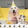 41pcs dog Party Supplies ,include 20 Plates, 20 Napkin and 1pcs Tablecloth,Used for Pet Dog Birthday Party Decoration (White dog HHH)