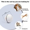 YOFUN Smart Interactive Cat Toy - New Upgraded 360 Degree Self Rotating Ball, USB Rechargeable Wicked Ball, Build-in Spinning Led Light, Stiulate Hunting Instinct for Your Kitty (White)