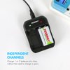 Tenergy TN141 2 Bay 9V Smart Charger with 4 pcs Centura Low Self-Discharge 9V NiMH Rechargeable Batteries