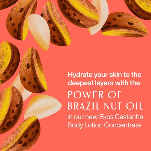 natura Ekos Castanha Body Lotion Concentrate Refill 30ml