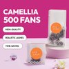 Eyesy Lash 500 Camellia Lash Extensions | 5D 0.07 Size 9-11-13mm Curl C | American Volume Lash Multiple Lengths Eyesy Eyelash Extension Pestanas Pelo A Pelo Create Depth, Textured, Layered Effect