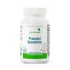 Seeking Health Prenatal Essentials - Brain Health Support Supplement with Vitamin B12 & K2 - Folate Supplement for Pregnancy & Prenatal Support - 60 Capsules