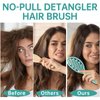 Daily Gard Detangling Brush, Dry and Wet Vented Detangler Hair Brush for Women and Men, Paddle Quick Drying Hairbrush for Wet/Dry/Curly/Thick/Long/Wavy/Damaged Hair, Green