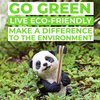EveEco 12 Count I Bamboo Toothbrush I Soft Bristles Best for Sensitive Gums I Charcoal I Vegan I Natural Wood I BPA Fee I Recyclable I Compostable I Biodegradable | Environmentally Friendly