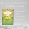 Mullein Leaf Tea - by Palm Beach Herbals, 30 Count Tea Bags, Caffeine-Free | Pure Herbal Tea Series