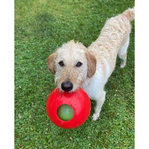 Jolly Pets Teaser Ball Dog Toy, Medium/6 Inches, Red