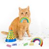 Andiker Catnip Toy&4pcs Cat Spring Toys, Colorful Plush Rainbow Pet Pillow, Cat Chew Toy for Kitten Scratch, Bite and Hug, Interactive Cat Toy for Indoor Cats to Smooth Mood and Relax (Darker)