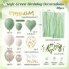 Sage Green Birthday Party Decorations with Happy Birthday Banner Green Fringe Curtain Butterfly Decorations Foil Balloons Happy Birthday Decorations for Women Adults