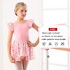 DANSHOW Ballet Leotards for Girls Dance Skirted Leotard Kids Ballet Tutu Dress Toddler Shiny Ruffle Sleeve Dancewear(40431-08-M)