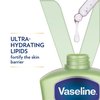 Vaseline Intensive Care Body Lotion Soothing Hydration for Dry Skin with Ultra-Hydrating Lipids + 1% Aloe Vera Extract to Refresh Dehydrated Skin 20.3 oz