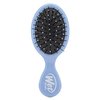 Wet Brush Detangling Brush, Mini Detangler Brush (Sky) - Wet & Dry Tangle-Free Hair Brush for Women & Men - No Tangle Soft & Flexible Bristles for Straight, Curly, & Thick Hair