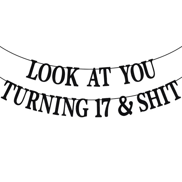 Black Glitter Look at You Turning 17 & Shit Banner, Happy 17th Birthday/Level 17 Unlocked/Cheers to 17 Years, Funny 17th Birthday Party Decorations Supplies