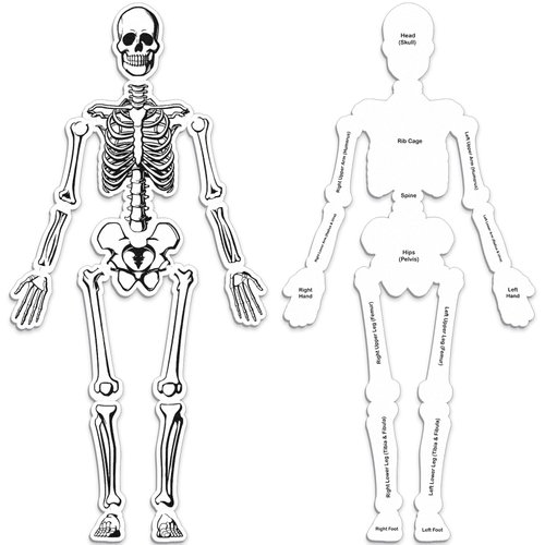 Silipull Skeleton Floor Puzzle Double Sided Human Body Puzzle 15 Pcs Human Anatomy Learning Toys Halloween Skeleton and Bones Anatomy Body Parts Puzzles Human Body Model Educational Toy