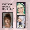 VANANGA French Hair Bangs Clip on, Silver Grey Long Wispy Bangs Hair Clip with Temples Natural Fringe Neat Bangs Hair Clip Hair Piece Long Bangs Clip in Hair Extensions for Women(Silver Grey)