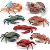 Ocean Sea Marine Animal Model Figures 8 PCS Realistic Crab Figurines Party Favors Supplies Cake Toppers Set Toys for Boys Girls Kid Toddlers