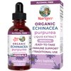 MaryRuth Organics Herbal Supplement Drop | Immune Support | USDA Echinacea Purpurea Liquid | Immune Support | Skin Health | Vegan | Non-GMO | Gluten Free | 1 Fl Oz