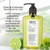 C.O. Bigelow Hand Wash Lime Coriander, Village Perfumer Moisturizing Soap Wash for Bathroom & Kitchen with Aloe Vera and Pro-Vitamin B5, 10 fl oz