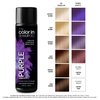 MyColorIn Color Depositing Shampoo (Vibrant Purple) - Sulfate & Paraben Free Hair Dye | Made in USA (8 Colors)