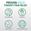 Biofreeze Professional Pain Relief Roll On for Knee, Neck, Hip, Joint, & Shoulder, Simple Backache Pain Reliever, Sore Muscle Relief, Roll-On Menthol Gel 3 Fl Oz (Pack of 2)