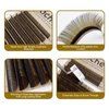 HAICHER Brown Lash Extensions 03 05 07 C D Curl 8-16mm Mixed, Colored Lash Trays for Eyelash Extension (Caramel Brown, 0.05 C 8-16mm)