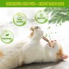 GBSYU 3 Pack Silvervine Cat Toy, Silvervine Sticks Cat Toys for Indoor Cats, Cat & Kitten Chew Toys for Aggressive Chewers, Cat Dental Toy for Kitten Teeth Cleaning, Matatabi Silvervine for Cats