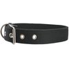 Cotton Web Dog Collar 1" Wide. Fits 15"-19" Neck. Amstaff, Retriever