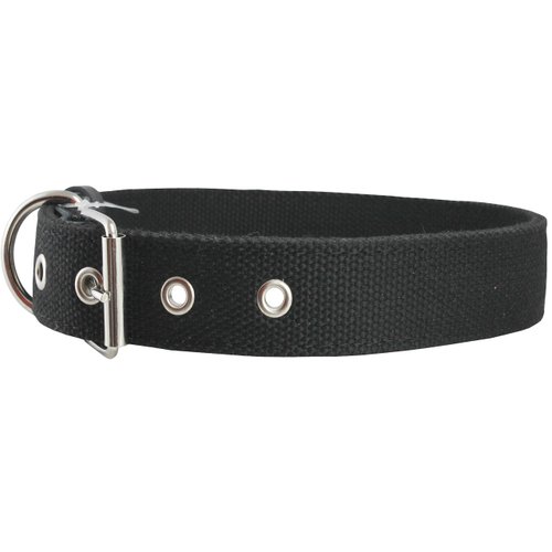 Cotton Web Dog Collar 1" Wide. Fits 15"-19" Neck. Amstaff, Retriever