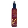 INFLUANCE Coconut Milk Leave In Conditioner