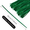 pson 100PCS 11.8 Inch Green Pipe Cleaners Chenille Stems, Art and Craft Thick Fuzzy Wire