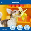 Barkbox 2 in 1 Interactive Plush Dog Toy - Rip and Reveal Toy for Dogs and Puppies - Stimulating Squeaky Pet Toys | Bananas (Small)