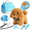 Nuheby Walking Dog Toy for Kids with Leash, Realistic Toys for Girls Boys Toddler Toys, Barking Wagging Tail Interactive Dog Plush with Cute Cloak,Puppy Pet Care Gifts for Girls 3 4 5 Year Old Boys