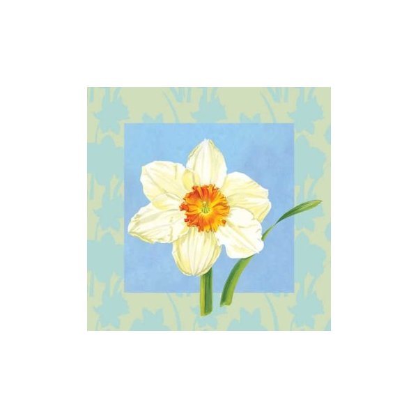 Daffodil Beverage Napkins 18 Per Pack