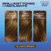 Clairol Nice'n Easy Permanent Hair Dye, 6 Light Brown Hair Color, Pack of 1