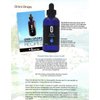 Omni Drops Diet Drops with Vitamin B12 - 4 oz with Program Guide
