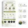 Naturtint Permanent Hair Color 3N Dark Chestnut Brown, 5.75 ounce - 3 Pack