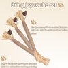 Biunnru Silvervine Cat Toy for Dental Care, Chewing, and Interactive Play Teeth Cleaning and Fresh Breath Toy for Indoor Outdoor Cats (3Pcs)