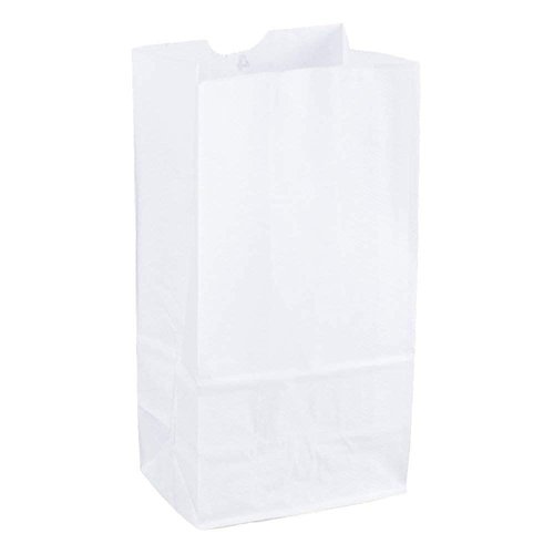 2lb White Kraft Paper Bags- Pack of 100ct