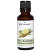 Cococare 100% Eucalyptus Massage Oil - Essential Oil for Sore Muscles - 1 oz