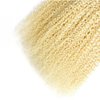 613 Human Hair Bundles Blonde Kinky Curly Human Hair Bundles Brazilian Virgin Remy Hair Extensions Double Weft Double Weft Blonde Human Hair Bundles 613 Kinky Curly Bundles 16 16 16 inch