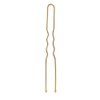ScivoKaval U Shaped Hair Pins 120 Pcs Professional U Pins for Women Girls Hairdressing Salon with Clear Storage Box Golden Champagne Blonde Gold 6 cm 2.36 inches