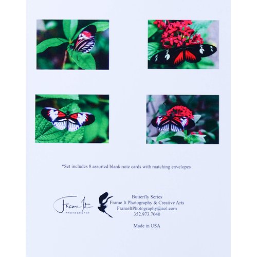 Butterfly Note Cards Original Elegant Photographic Textured White Blank 4.25"x 5.50" Boxed Set 8 W/Matching Envelopes in Plastic Jacket Thank You Invitations Birthdays Greetings