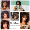 ELIM Curly Wigs for Black Women Mixed Brown Short Kinky Curly Wigs for Women Big Curly Afro Soft Wig with Bangs Heat Resistant Natural Cute Synthetic Wig with Accessories Z014BB